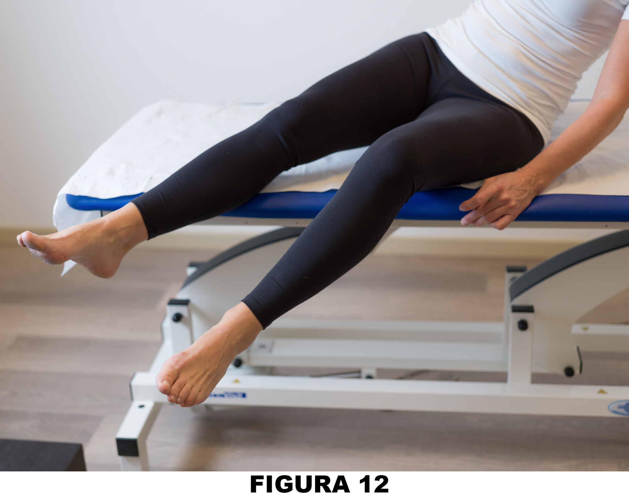 Anca_Figura_12