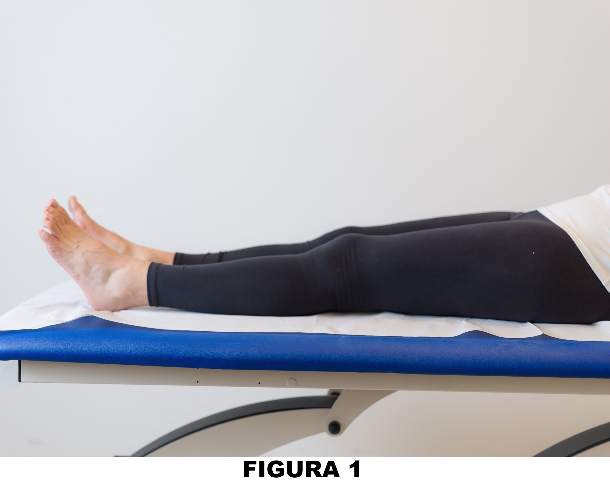 Ginocchio_Figura_1