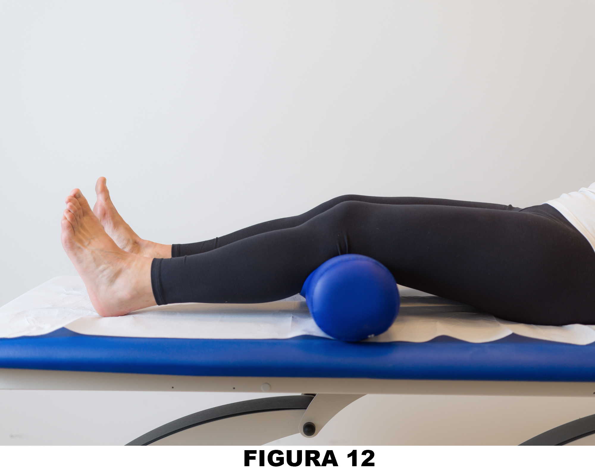 Ginocchio_Figura_12