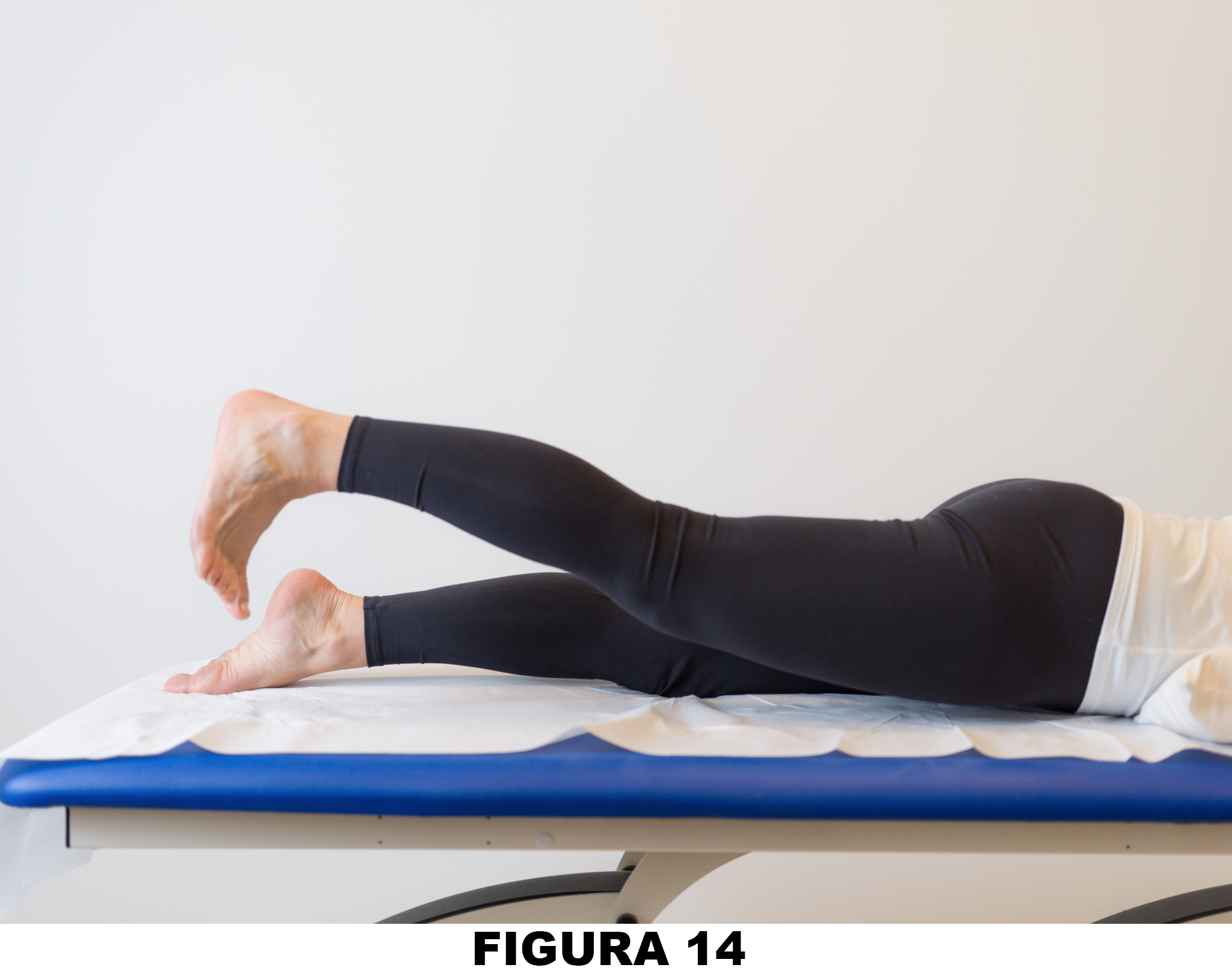 Ginocchio_Figura_14