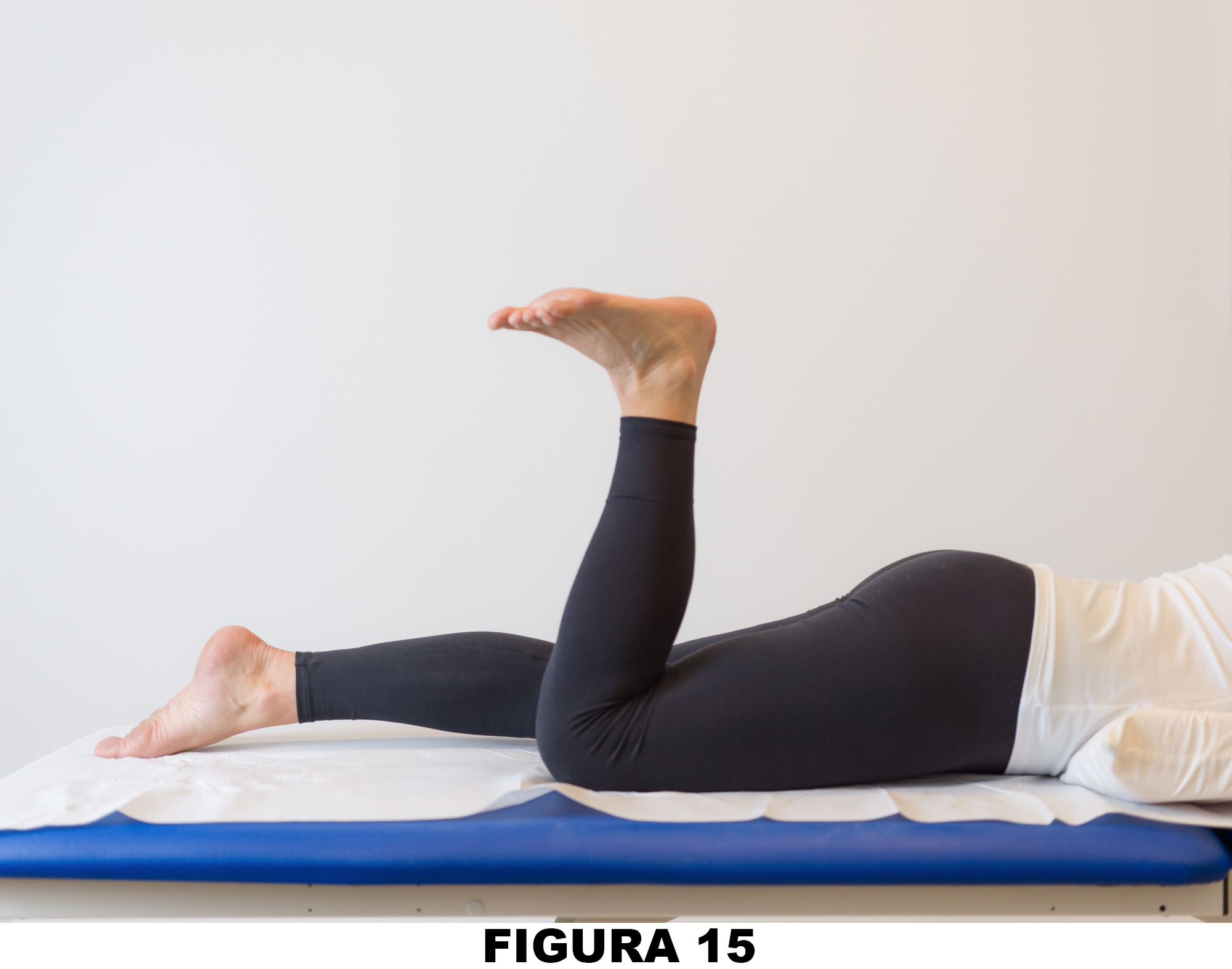 Ginocchio_Figura_15