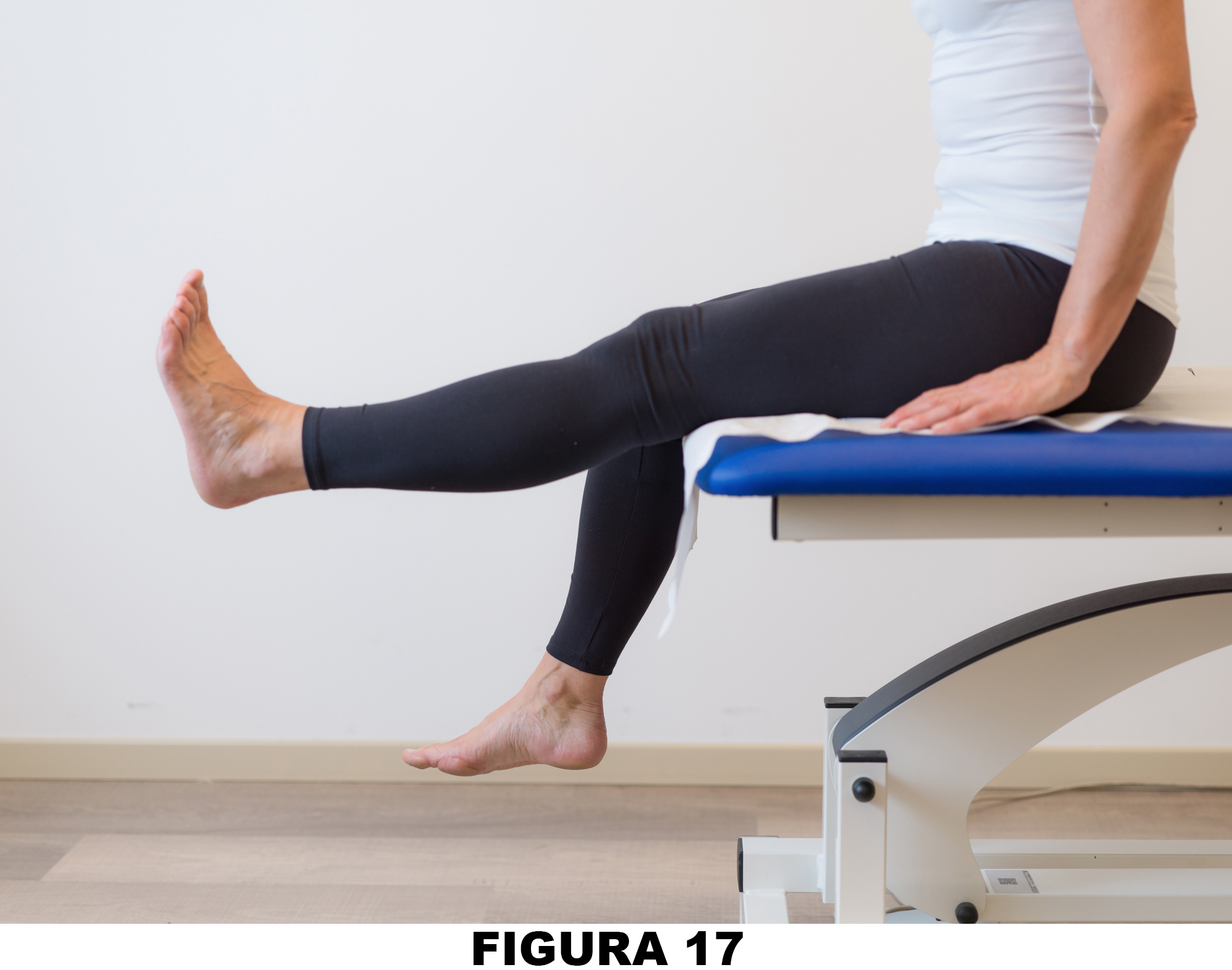 Ginocchio_Figura_17
