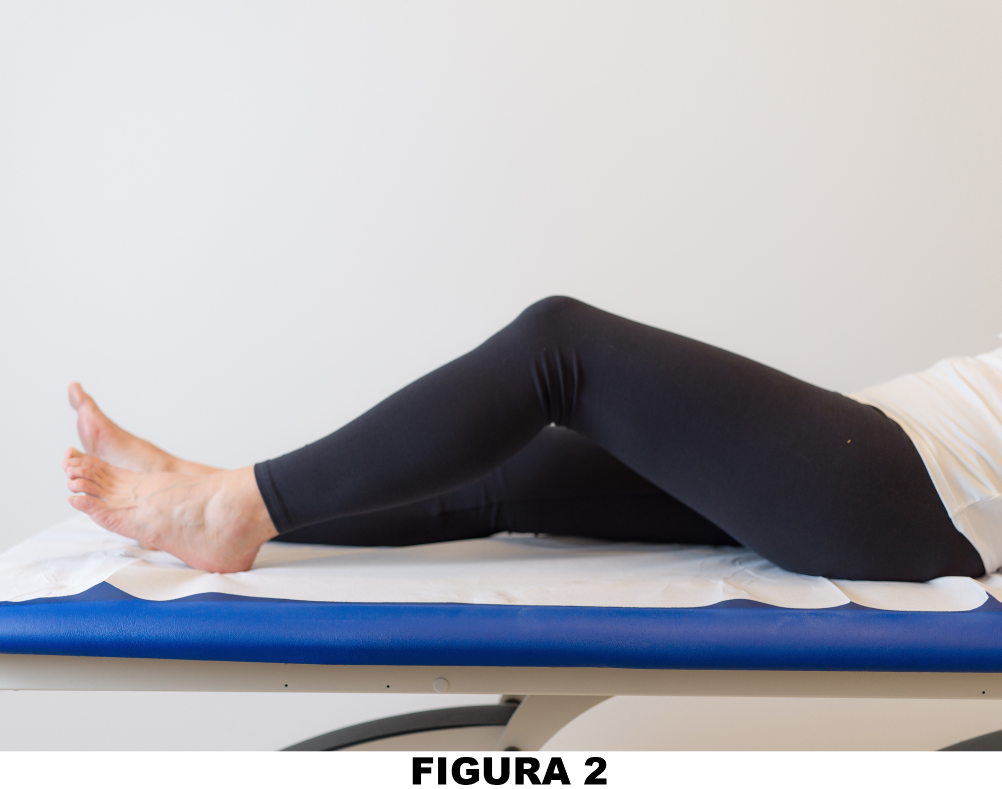Ginocchio_Figura_2