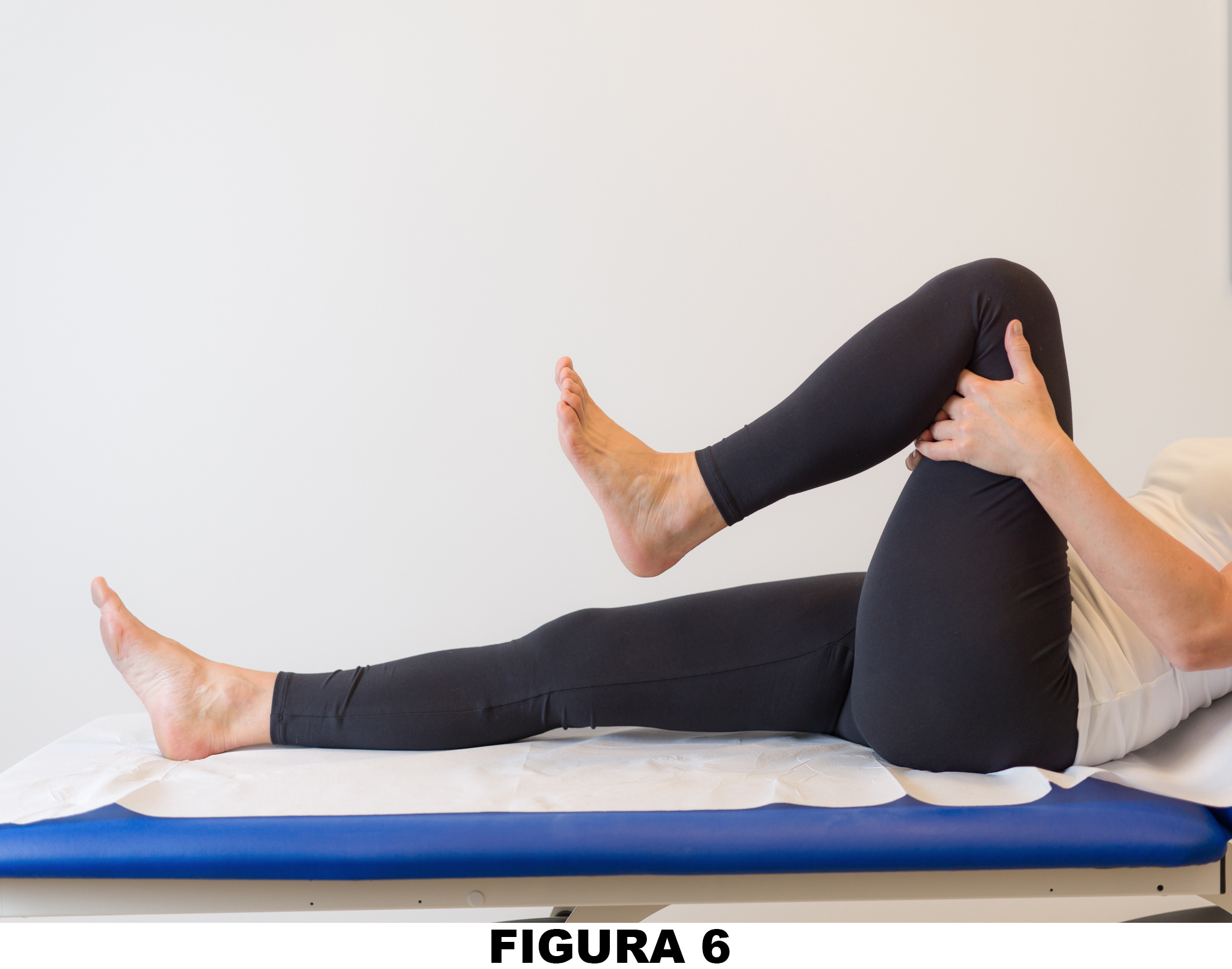Ginocchio_Figura_6