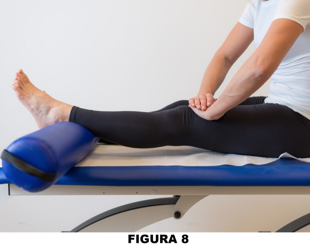 Ginocchio_Figura_8