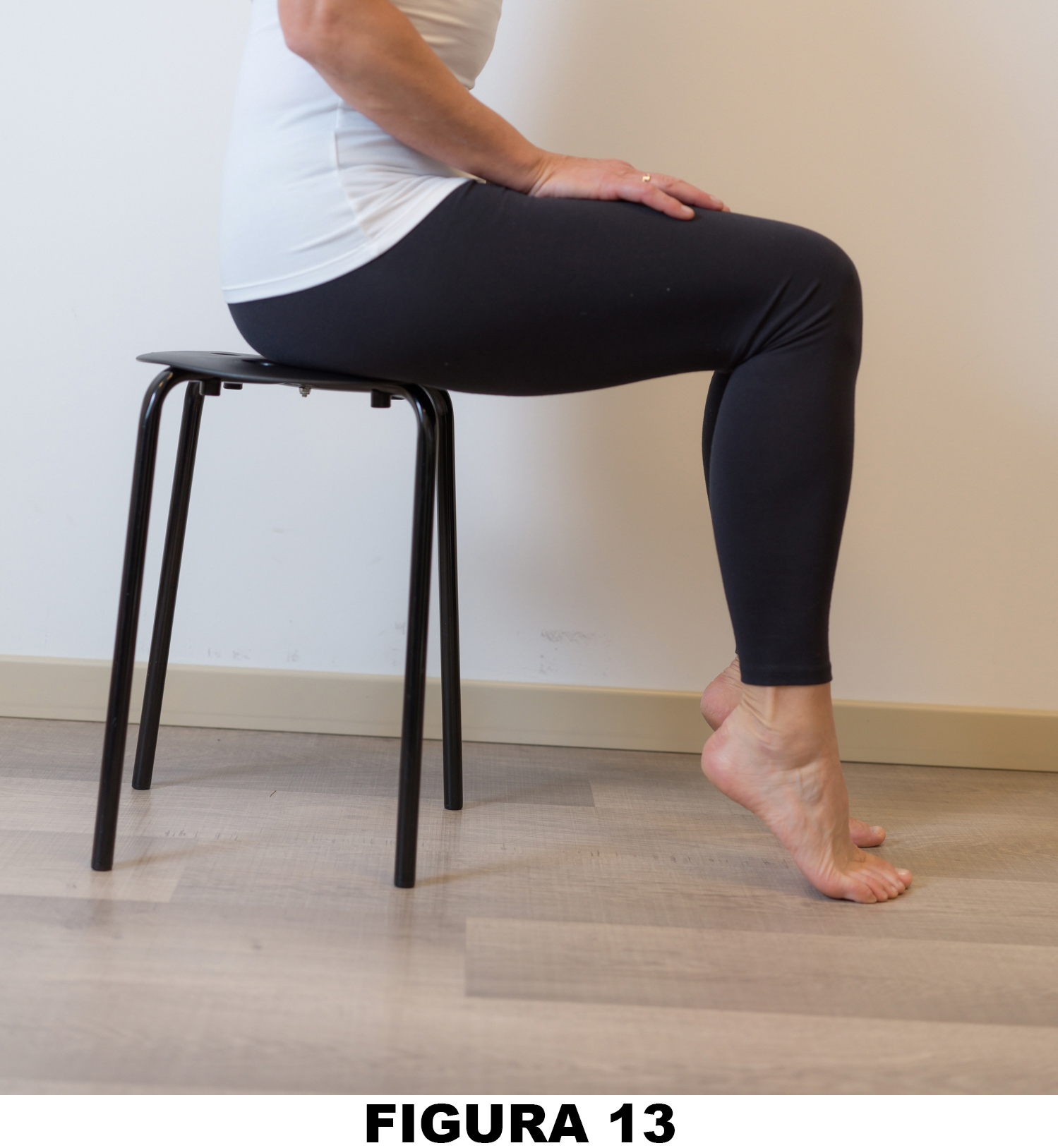 Anca_Figura_13