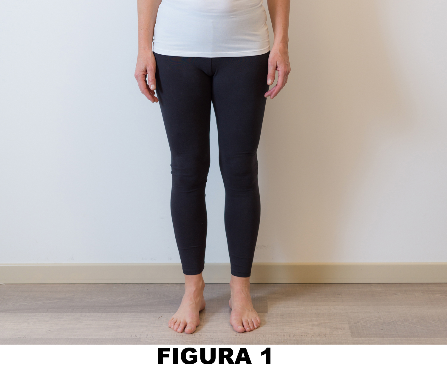 Anca_Figura_1_1