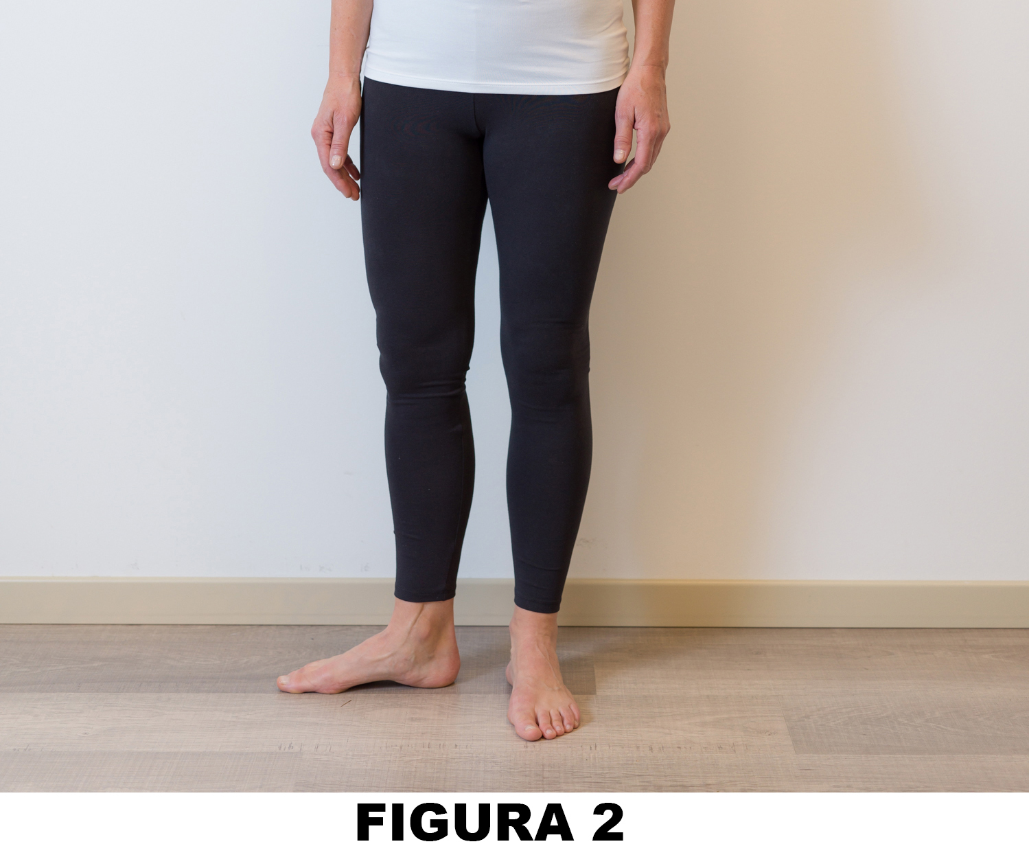 Anca_Figura_1_2