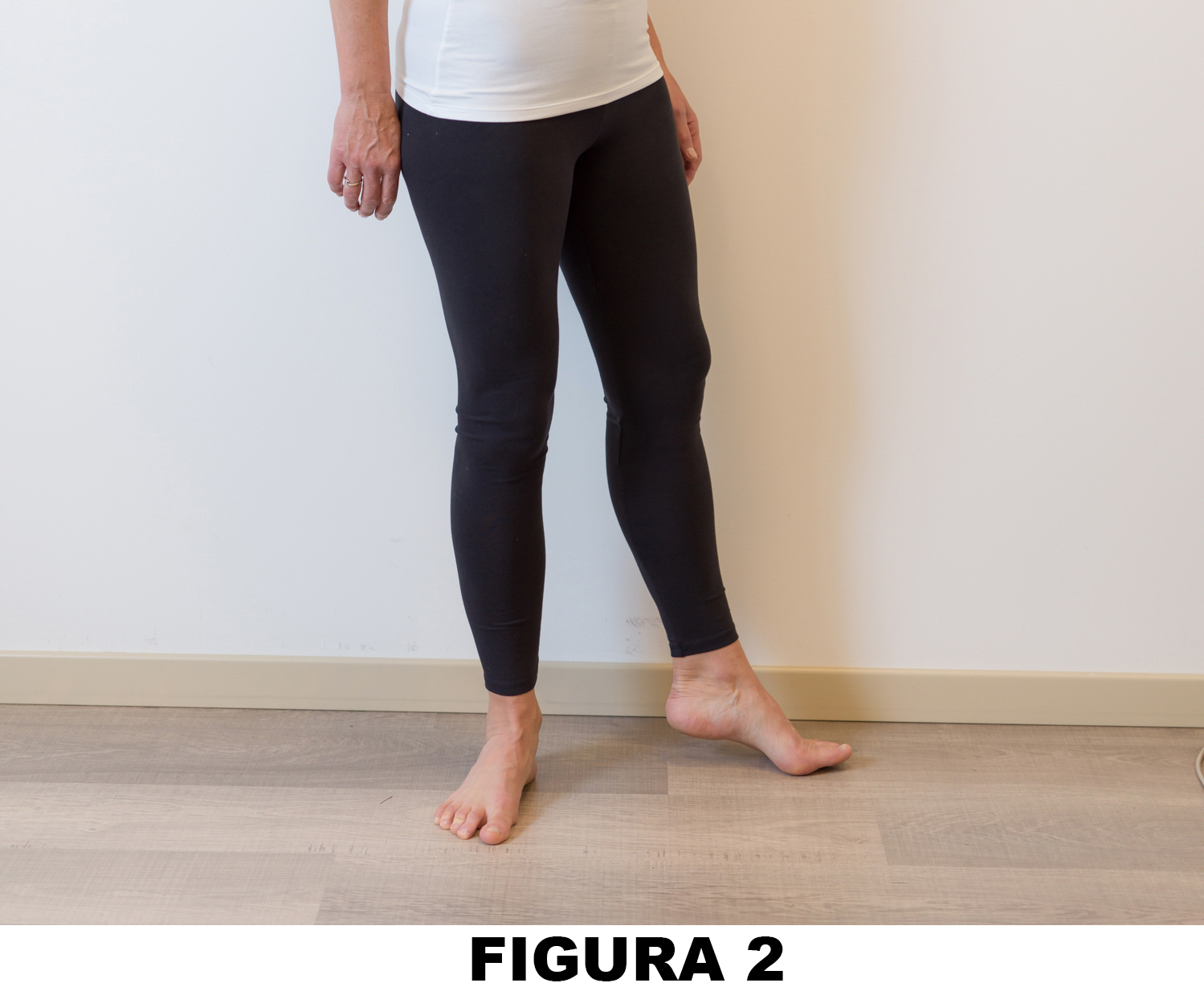 Anca_Figura_2_2