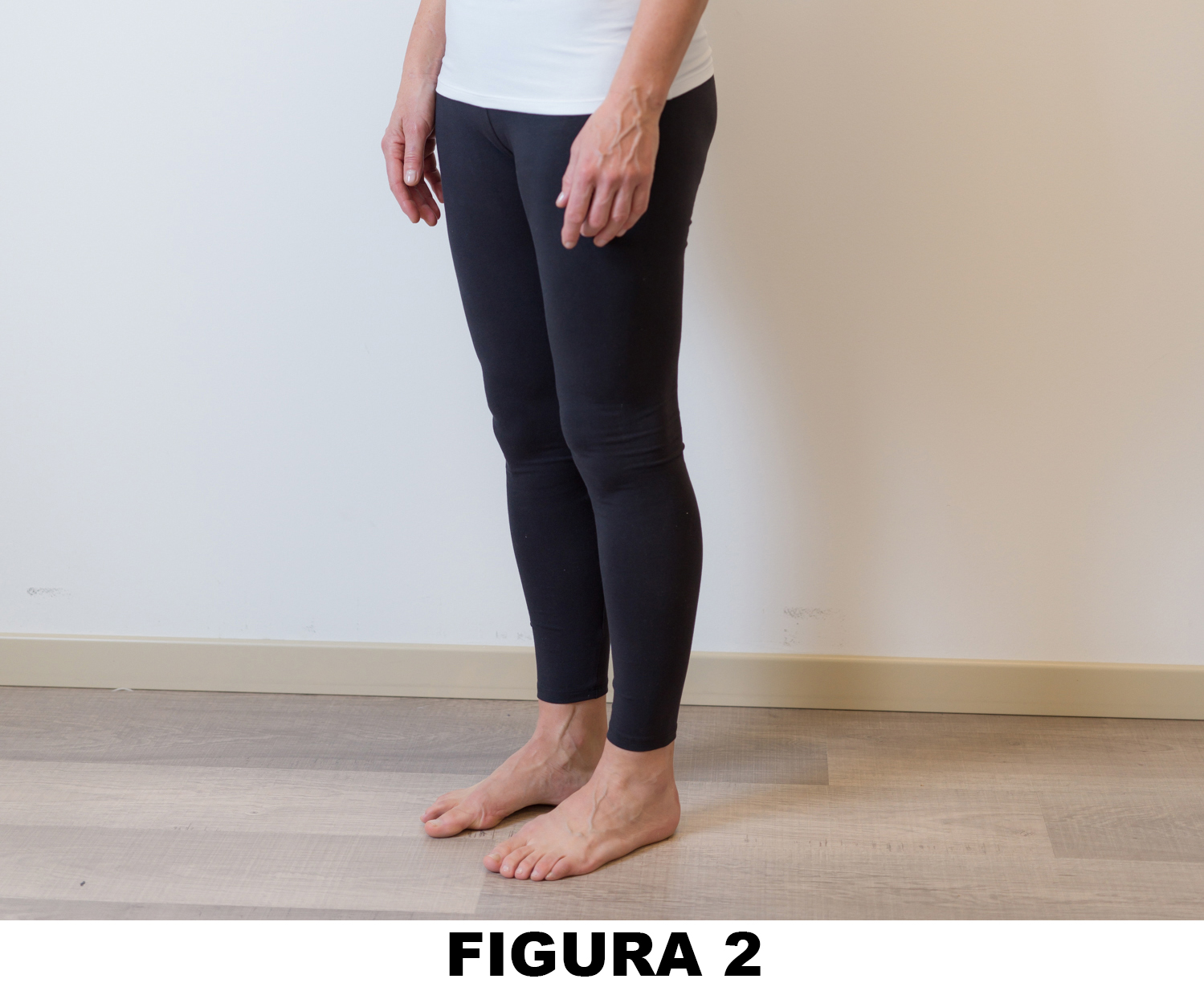 Anca_Figura_3_2