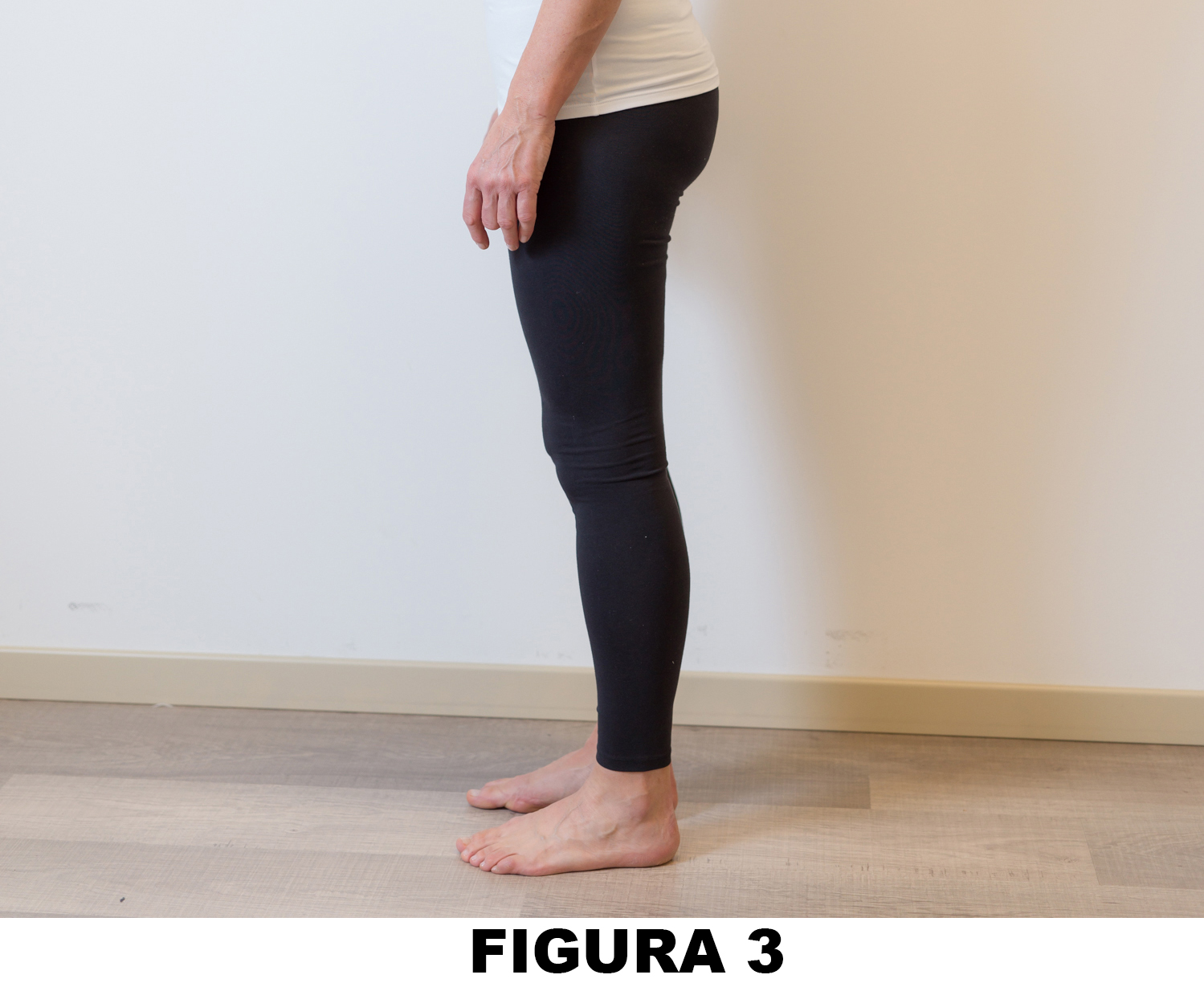 Anca_Figura_3_3