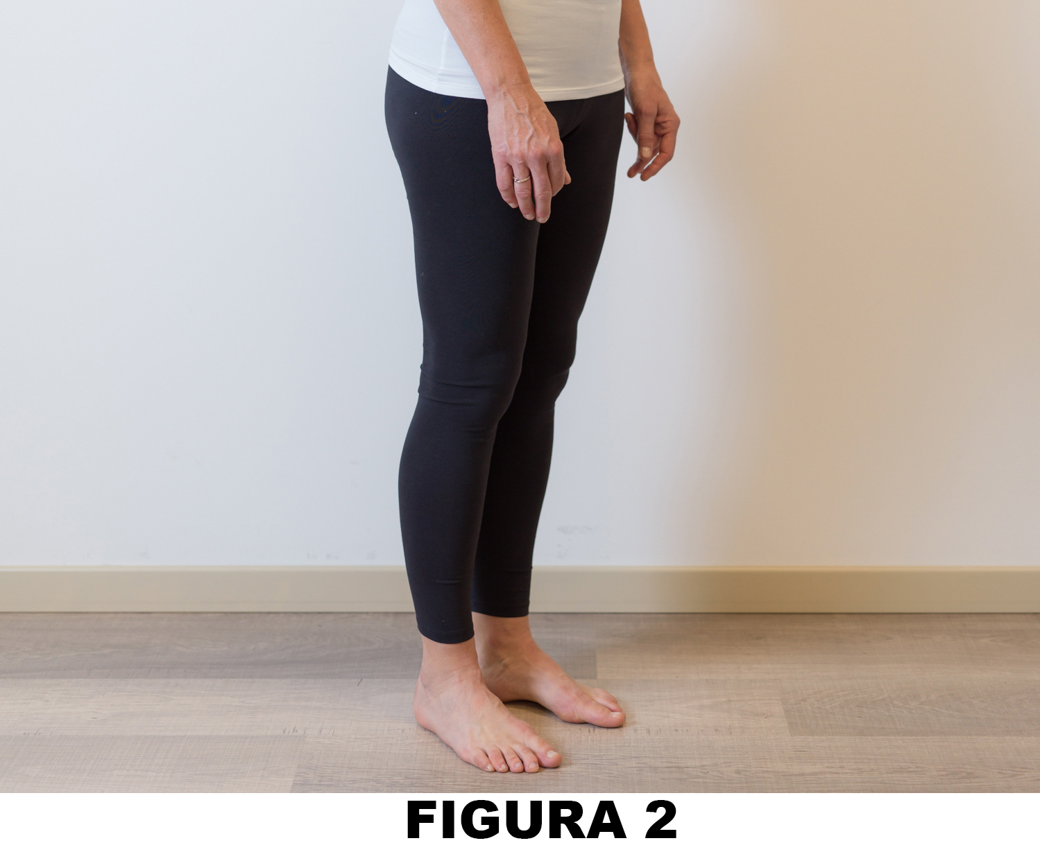 Anca_Figura_4_2