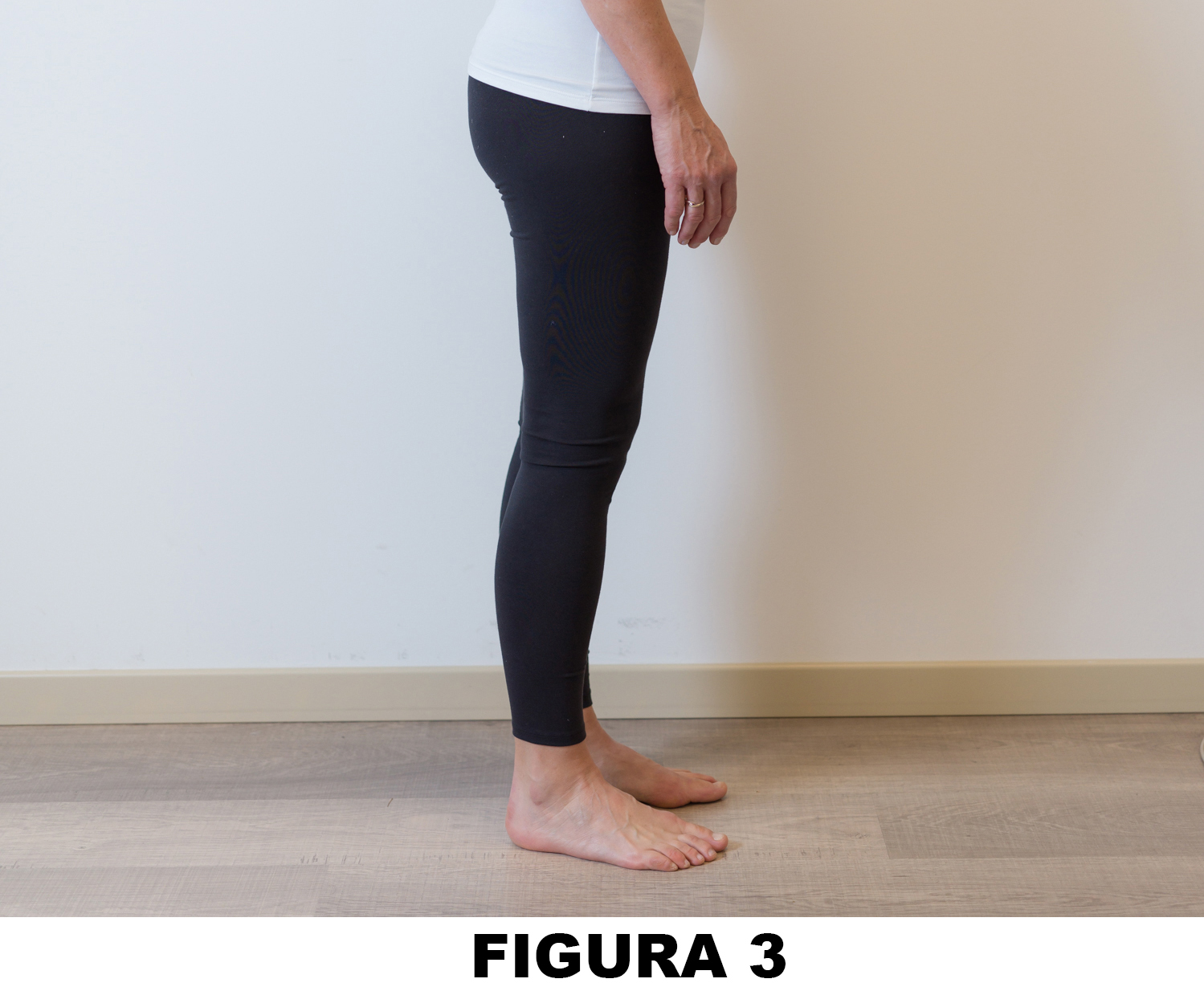 Anca_Figura_4_3